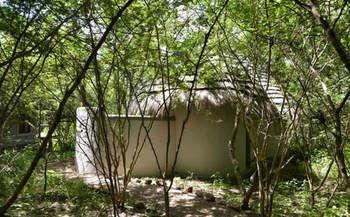 Bakwena Lodge Kasane Kültér fotó